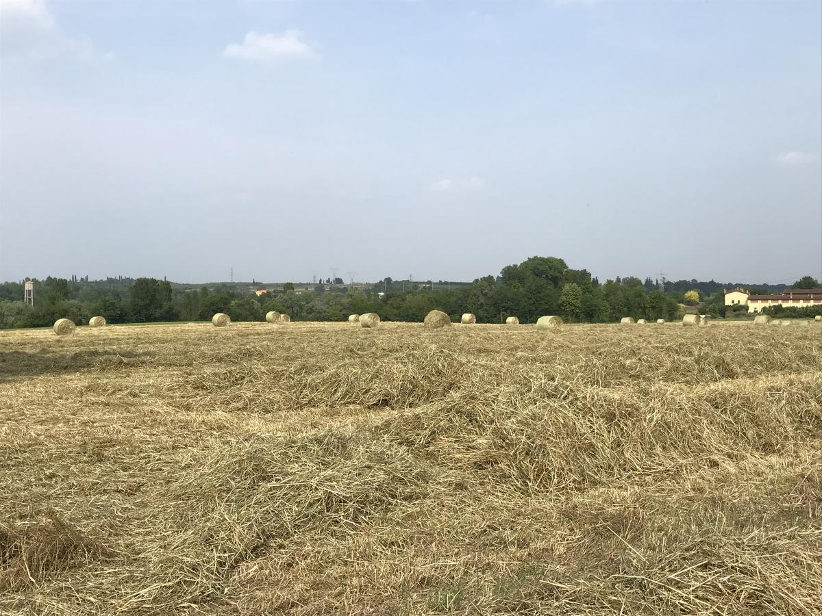 Готель Agriturismo Corte Salandini Понті-суль-Мінчіо Екстер'єр фото