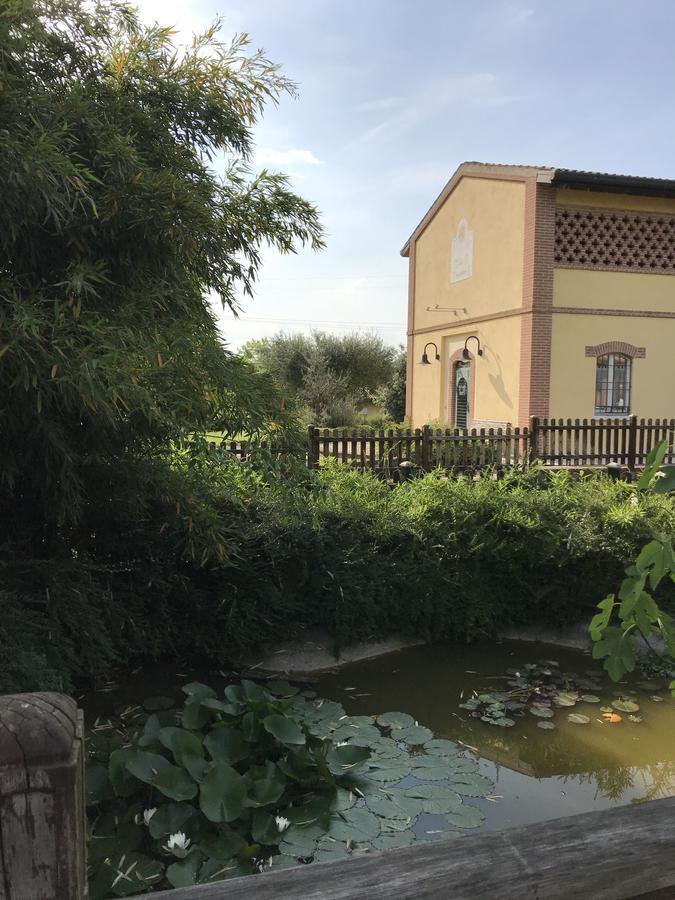 Готель Agriturismo Corte Salandini Понті-суль-Мінчіо Екстер'єр фото