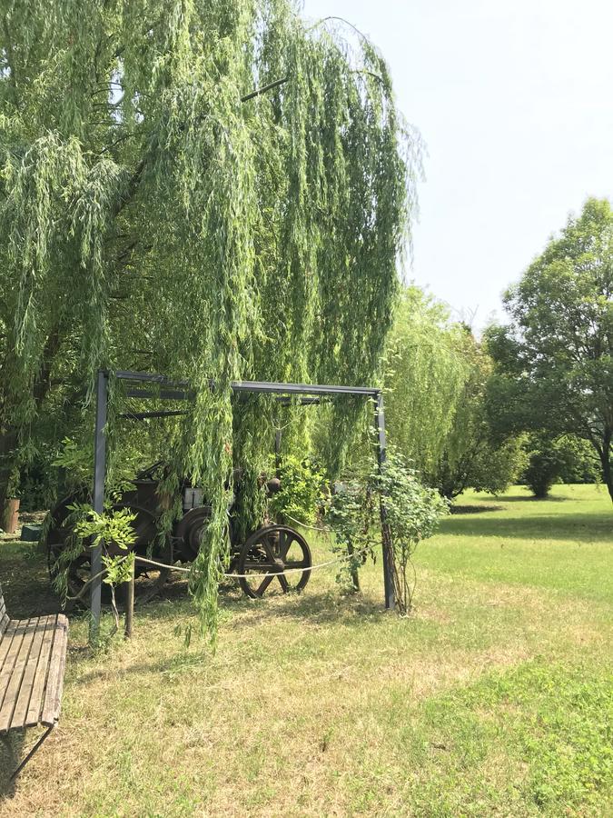 Готель Agriturismo Corte Salandini Понті-суль-Мінчіо Екстер'єр фото