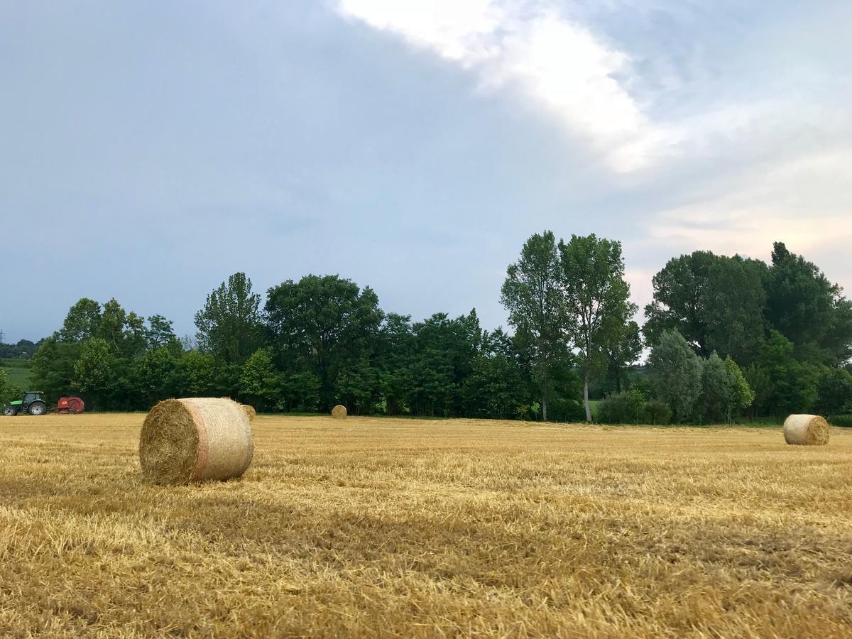 Готель Agriturismo Corte Salandini Понті-суль-Мінчіо Екстер'єр фото